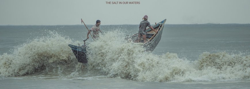 জলে ভাসা পদ্ম জীবন: নোনা জলের কাব্য