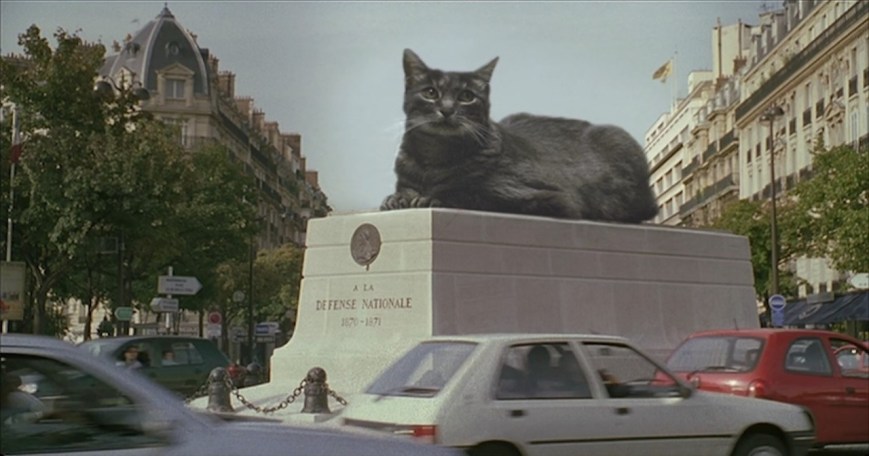 ছিল সিংহ হয়ে গেল বেড়াল: অ্যাগনেস ভার্দার অবস্থান্তর ও উন্মোচনের সিনেমা